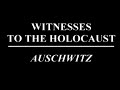 Witnesses to the Holocaust: Auschwitz
