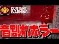 【音量注意】音割れホラー【Content Warning】