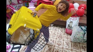 İSTANBULA GİDİYORUZ KEDİCİKLERİMİZ PONÇİK VE ALİNAYI ARKADIŞIMIZA MİSAFİR VERİYORUZ, Dumanı gördük