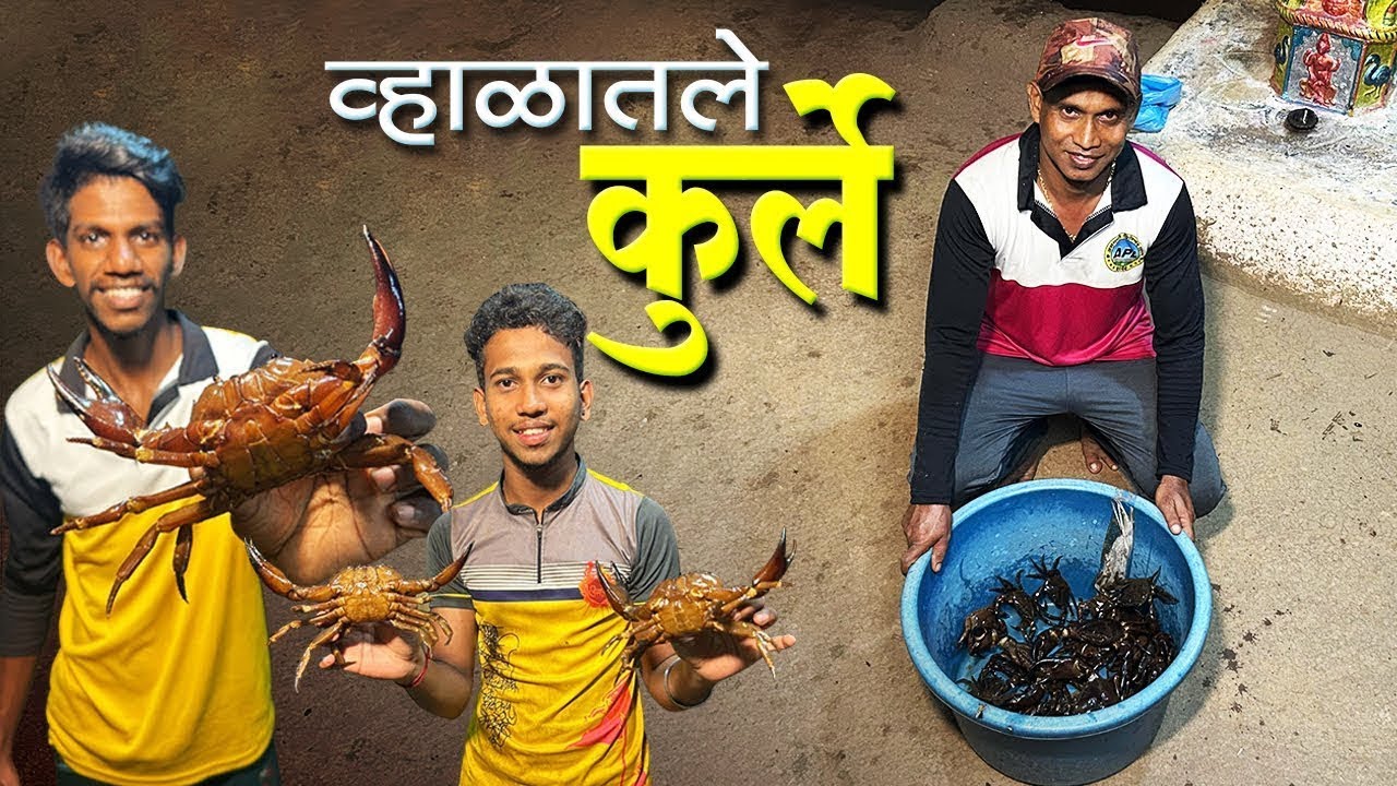कोकणात पहिल्या पावसातले "साये कुर्ले" | व्हाळातले खेकडे | Fresh Water Crab 