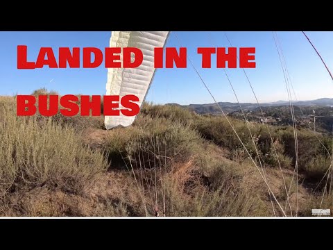 Be careful where you land...you could get attacked by a meth-lion