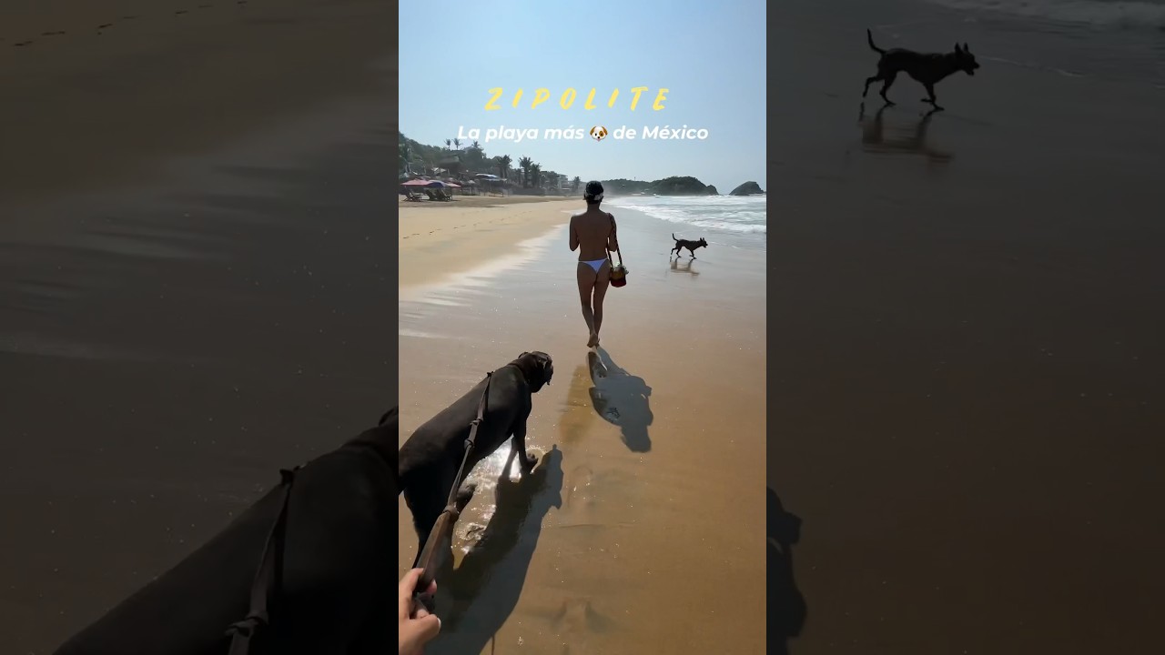 ZIPOLITE ✨fue nuestro mejor destino para ir con nuestros perros a la Playa 🏝️ #turismo #oaxaca