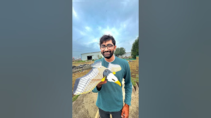 my new rc bird ki unboxing