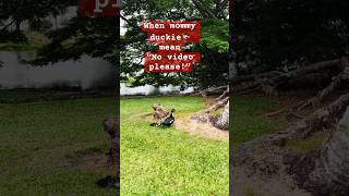 S Reaction When Someone Taking Videos