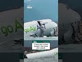 Plane slides off runway into the sea with deadly consequences.