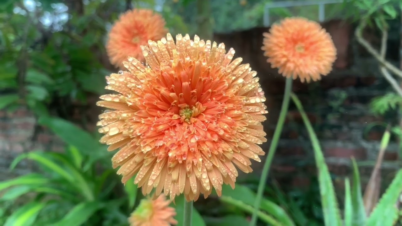 make a potting planter