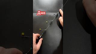 Снасть для рыбалки на карася / ловля карася