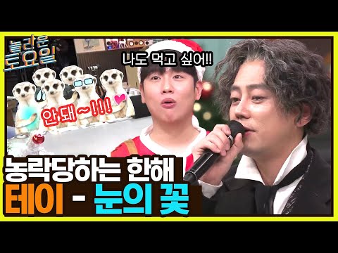설움 폭발한 쥐치의 흑기사 테이가 부르는 박효신의 눈의 꽃 ㅋㅋ 놀라운토요일 Amazingsaturday EP 243 TvN 221224 방송 