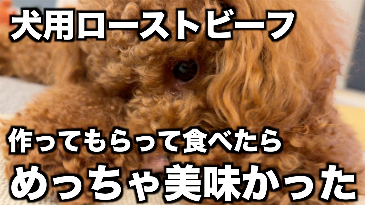 【犬用ローストビーフ】誕生日に作った茶太郎お気に入りのローストビーフ作り方を簡単に紹介