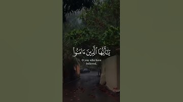 #ياسر_الدوسري #يأيها_الذين_ءامنوا_اذكروا_الله_ذكرا_كثيرا#تلاوة_خاشعة #تلاوة_مميزة #تلاوة_هادئة