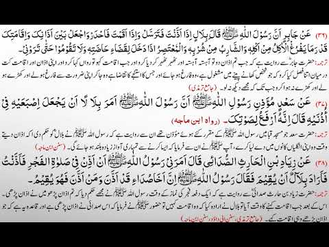 Hadees Lesson # 084 - YouTube
