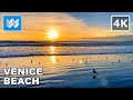 [4K] Venice Beach in Los Angeles, California USA 2021 Sunset Walk 🎧 ASMR Relaxation Meditation Sleep