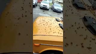 ВАЗ красивый ретро автомобиль. #автомобиль #ретро #ваз