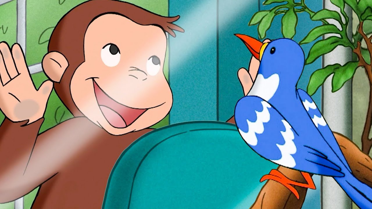 ¿Un animal en peligro de extinción? | Jorge El Curioso En Español