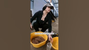 Em cần thủ có tâm hồn to tròn đi câu cá chép và cái kết #cauca #fishing #short