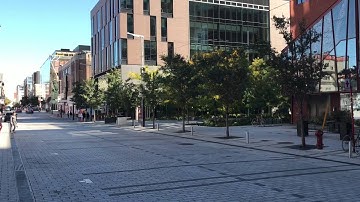 Shared space street in Montreal