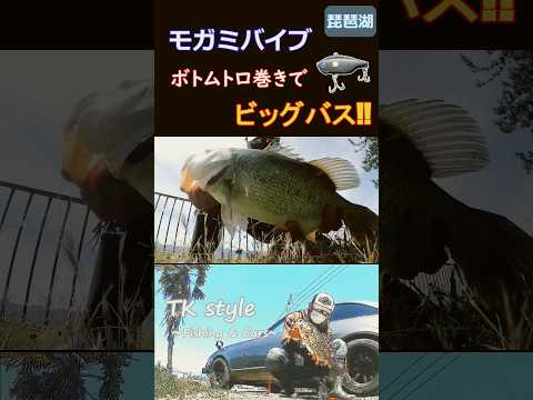 ボトムトロ巻きでビッグバス‼️#バス釣り#琵琶湖#モガミバイブ#mogami釣具#バイブレーション