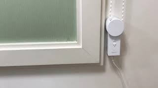 ネコのシェード