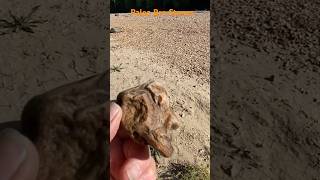 Face Rock Art # Stone Age Tools and Effigies # Wholly Mammoth # Agates