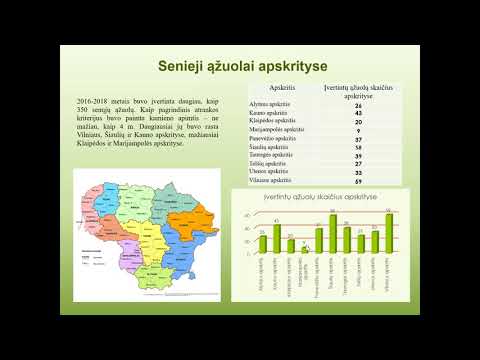 „Senieji Lietuvos ąžuolai“ (R. Baltrėnas)