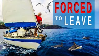 FORCED to LEAVE | Seeking Safe Harbour | Sailing Florence Ep.167