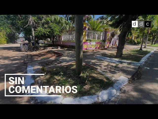Basura recogida y contenes chorreando pintura: un barrio de La Habana recibe visita extranjera