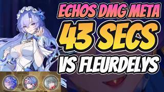 ECHO DAMAGE IS META !!? | 43 Seconds Clear Time - Tower of Adversity | Wuthering Waves 3.1