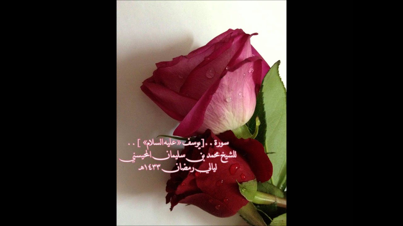 رمضان 1433 سورة يوسف كاملة للشيخ محمد المحيسني