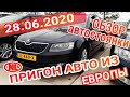 Пригон авто под заказ в Украину: Обзор автостоянки в Голландии!