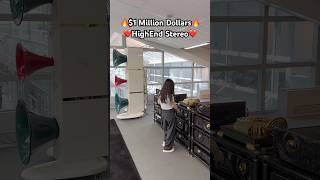$1 Million 🔥 ESD Acoustics HiEnd Audiophile Stereo Sound System Horn Speakers Titanium Subwoofers