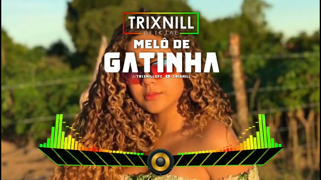 REGGAE DO MARANHÃO | Melo de Gatinha | REGGAE LIMPO | TrixNill REMIX 2024 Radiola