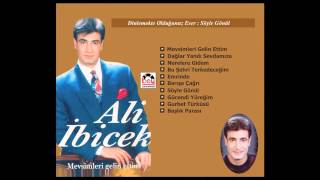 Ali İbicek -Söyle Gönül Resimi