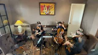 Waltz for the Moon (Nobuo Uematsu) from FInal Fantasy VIII cover by The Manila String Machine