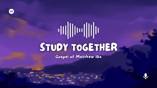 Bible Study: Matthew 15a