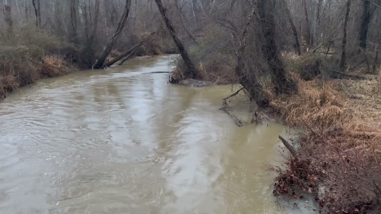 Different Flows Within a Creek
