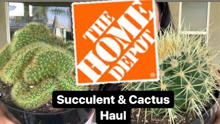 My Home Depot Big Box Store Succulent Cactus Haul / Succulents Cactus Haul