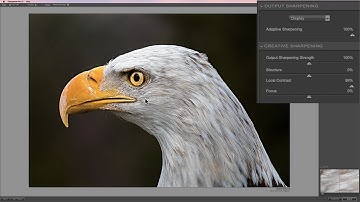 Mastering the Nik Collection - 24: Output Sharpener