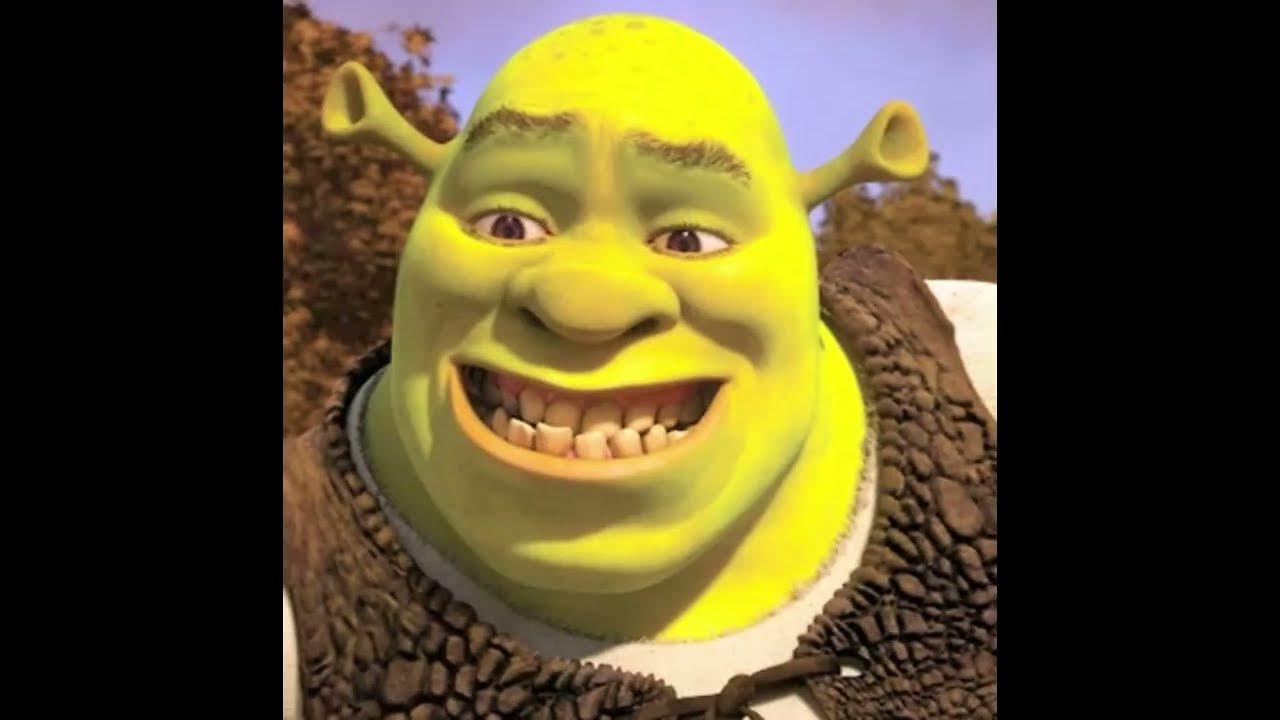CapCut_what are you talking about crackers shrek meme