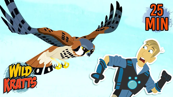 Birds of Prey | Hunters of the Sky | Falcons, Eagles & Hawks | Animals for Kids | Wild Kratts thumbnail