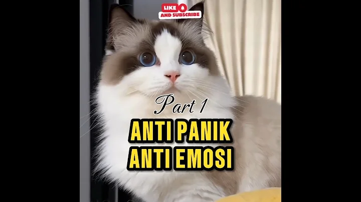 Video 11847681: ragdollcat, cat facts, kucing