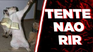 10 Minutos Pra Ficar Dorgado - Edição Dorgas - Tente Não Rir