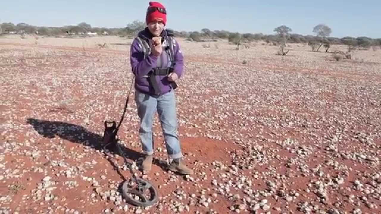 gold detecting tours western australia