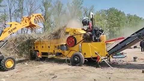 Máy băm gỗ,máy băm dăm gỗ, Máy băm công suất lớn 25-30 tấn/giờ Model BSR-HX-1400-700 BSR-HX-1400-800