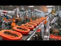 Inside a Modern Papaya Factory — From Fresh Papayas to Smooth Orange Purée!