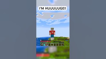 Ik groei elke keer dat ik een blok breek in Minecraft!