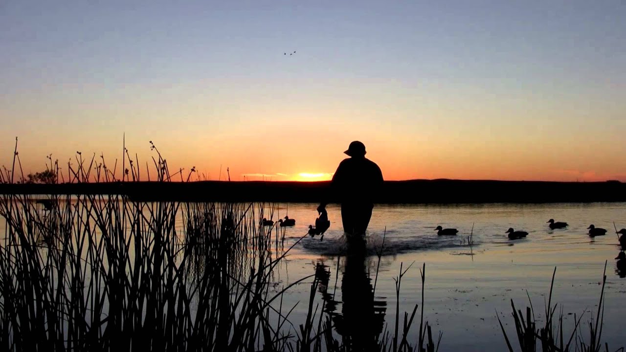 hunting simulator pc Electronic Duck Stamp - NDGNF