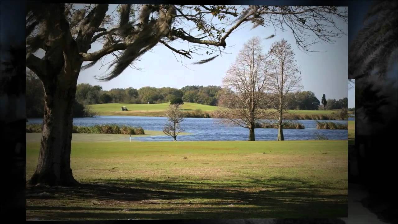 5 Bedroom Golf Course Homes for Sale in Diamond Hill, Valrico, Florida, Tampa Bay YouTube