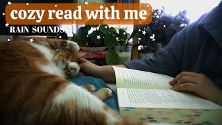 [real time] read with me (& my cat)- 30 min relaxing rain sounds, no music 🌧 + annotating🕯️