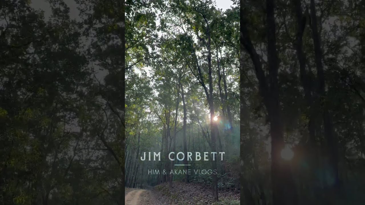 Jim Corbett Durgadevi Zone | Tiger Reserve National Forest | Uttarakhand in India 