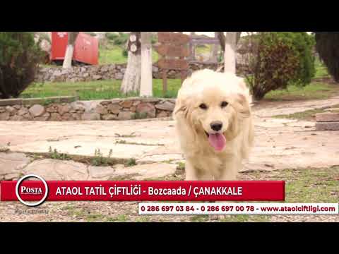 ATAOL TATİL ÇİFTLİĞİ - BOZCAADA / ÇANAKKALE